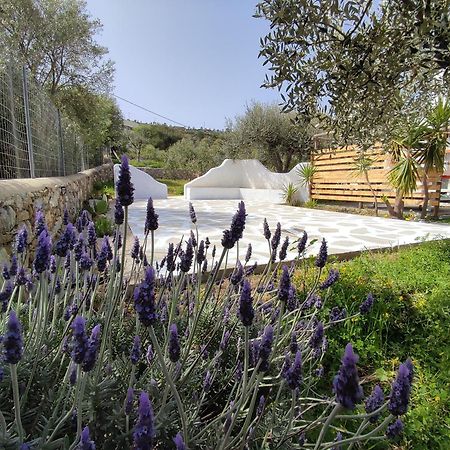 Il Canto Delle Cicale Agia Marina  Dış mekan fotoğraf