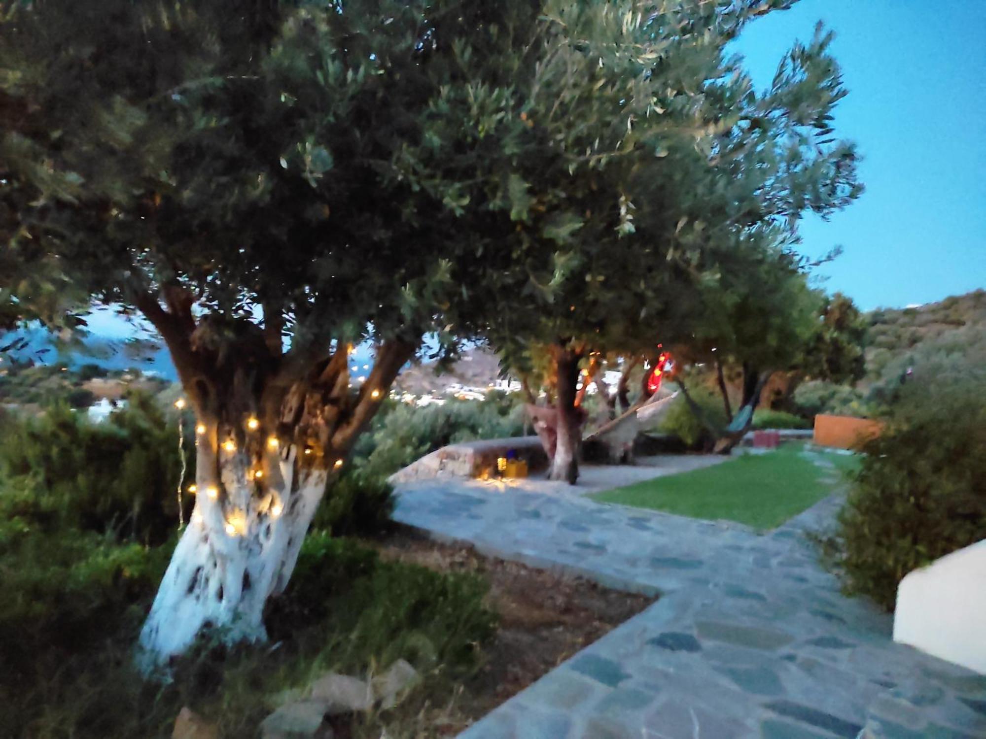 Il Canto Delle Cicale Agia Marina  Dış mekan fotoğraf